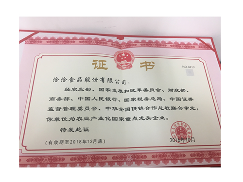 國家重點龍頭企業